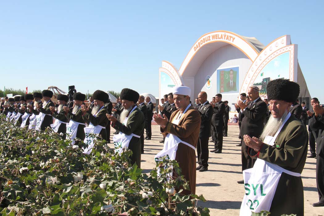 Cotton harvesting campaign starts in Dashoguz velayat